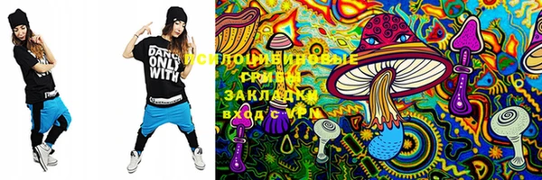 mix Бородино