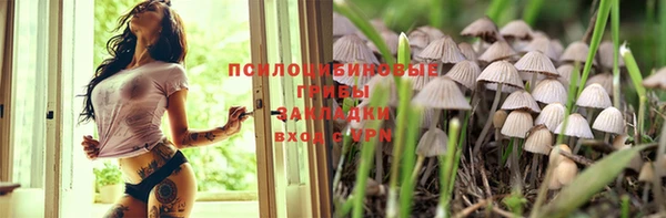 mdma Богородицк
