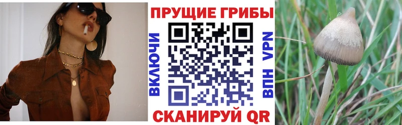 Псилоцибиновые грибы ЛСД Рыбинск